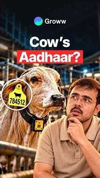 What Actually Comes Out of Cow Data?