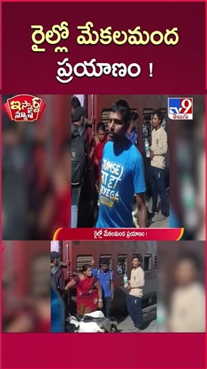 iSmart News | Herd of Goats Travels by Train! | TV9