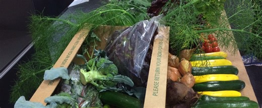 EFA on the BBC Spotlight sofa - Exeter Food Action