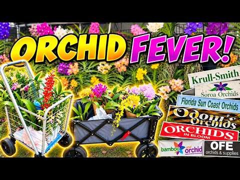 Orchid Fever at Redland! Everyone's Buying Orchids!