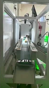 The Machine That Defines Chicken Lives