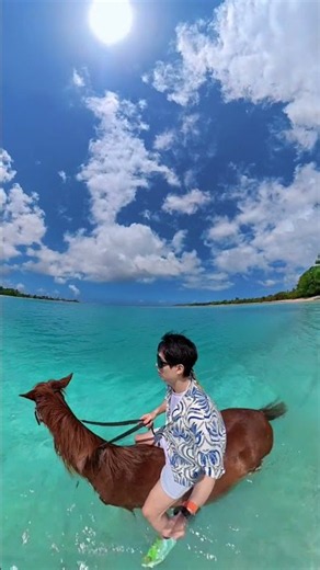Riding horses in Vanuatu’s iconic Tiffany blue sea #horseriding #bucketlist #vanuatu #islandlife