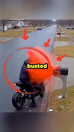 That Box Wasn’t Safe 😱❤️