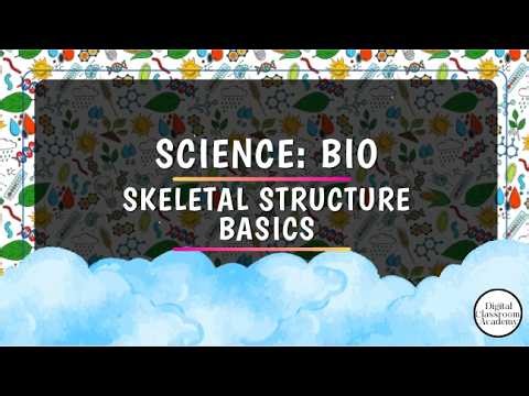 The Skeletal System (3rd & 4th Grade) Science Lesson