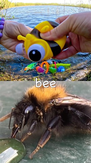 Toy Learning Fun | Kids Learn Bug Insect Names at the Lake: Stink Bug Millipede Cockroach Bee