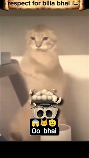 👉 “Cat vs King Cobra 😱 Saved Baby’s Life | Real Hero!”👉 "🔔 Subscribe for more viral videos