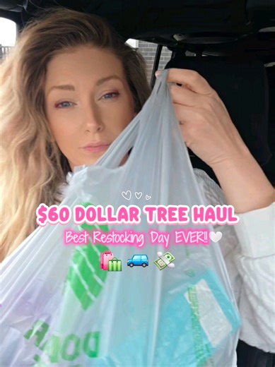 $60 Dollar Tree Haul: Restocking Day Jackpot!
