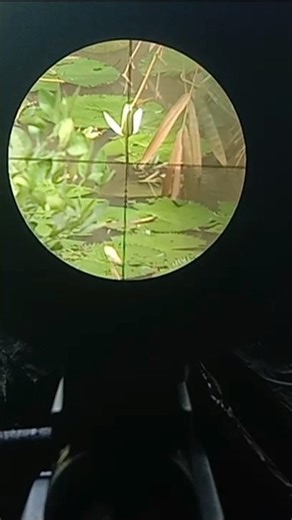 #6 How to Calibrate a Scope for Accurate Targeting