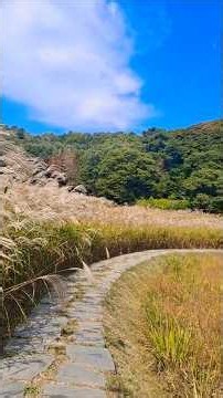 시월의 감성을 담다 | 청주 상당산성 자연마당 가을 풍경 🌾✨