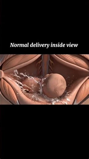 Pregnancy Week by Week – Baby Growth & Tips