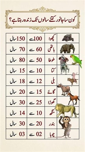 Animal Lifespans Explained | How Long Do Different Animals Live? #didyouknow #generalknowledge