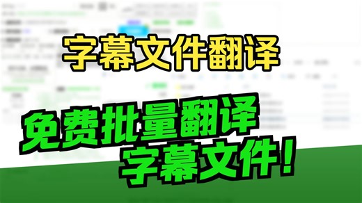 16 字幕文件翻译（SRT文件翻译）