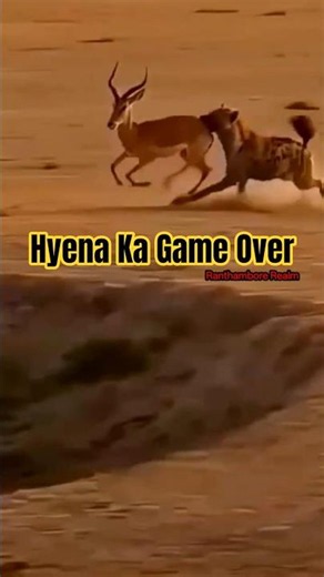 Hyena Ka Game Over 😱 Crocodile Ne Bachayi Deer Ki Jaan! #shorts