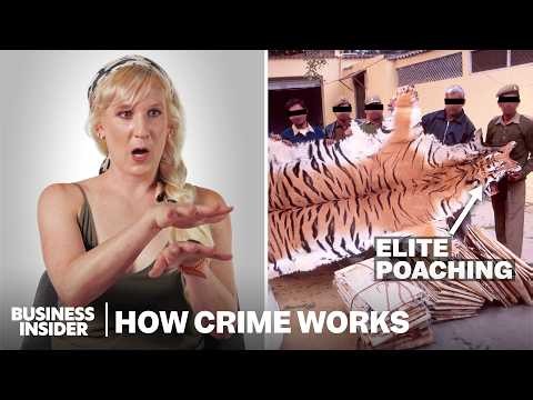 How Illegal Wildlife Trafficking Actually Works | How Crime Works | Insider