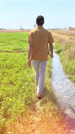 Farming Simulator 22 Gameplay Highlights