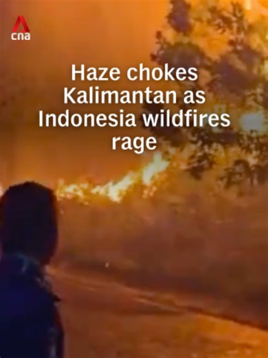 Hazardous levels of haze blanketed Kalimantan and other parts of Borneo amid raging wildfires in Indonesia. Authorities have since temporarily closed nine national parks and prioritised firefighting operations in six provinces. #indonesianews #indonesia #kalimantan