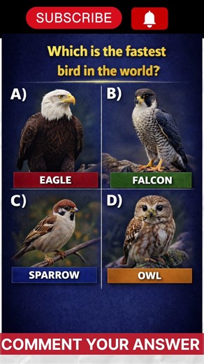 Which is the fastest bird in the world? #shorts