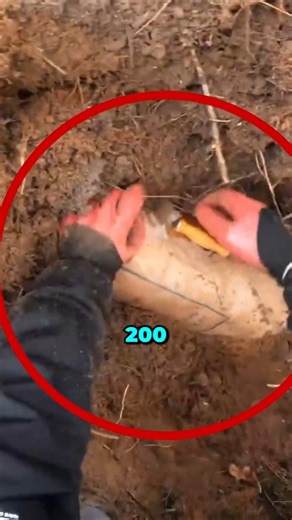 He Found a 200 Year Old Time Capsule on a Remote Island! 🌳😲