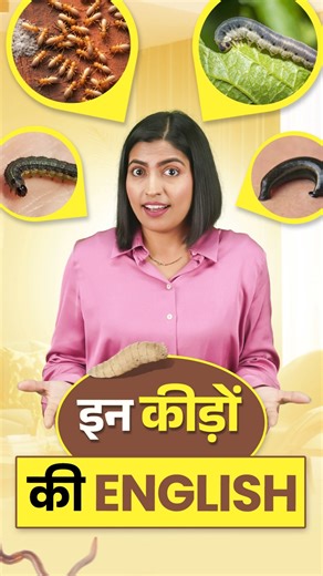 Insects & Worms Names in English 🐛 | Learn English Vocabulary | English Connection #shorts