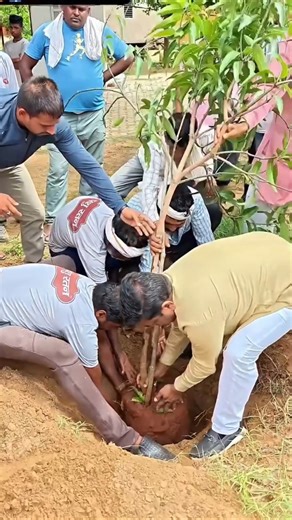 What If Half the World Planted One Tree ( One Tree Per Person Can Save Earth )