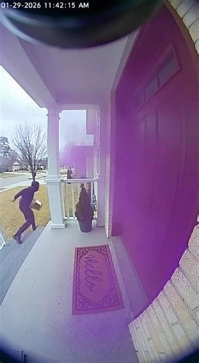 Package Thief Gets Purple Powder BOMBED!