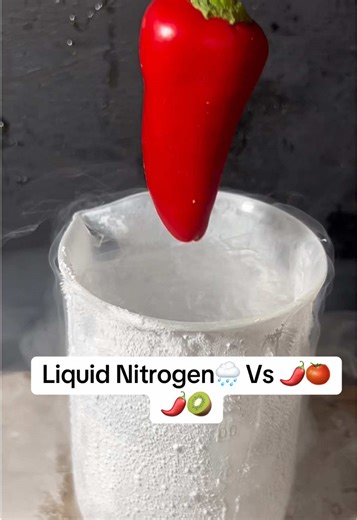 Liquid Nitrogen Experiment: Satisfying Comparisons
