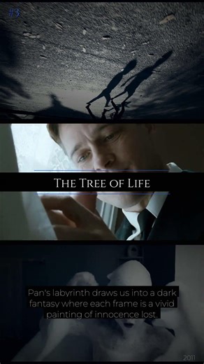 5 Films Where Every Single Frame is Perfect