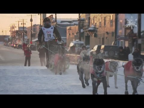 Mushers seek alternatives after Idaho Sled Dog Challenge cancels races amid low snow levels
