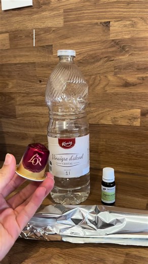 Astuce anti-fourmis naturelle et rapide pour la maison