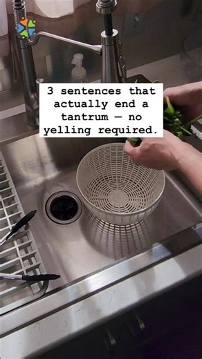 3 Things to Say During a Meltdown Instead of 'Stop Crying'