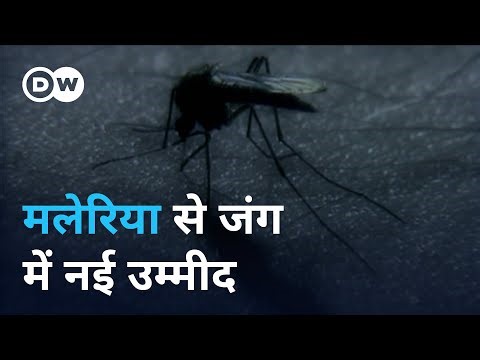 रात को दबे पांव आने वाली मौत से लड़ाई [Malaria research in Germany targets parasite’s life cycle]