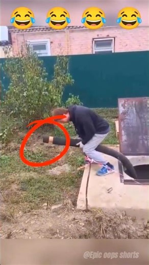 USA fails hit different! Wait for the gravity to kick in! 🍎📉#funny #funnyvideo #shorts