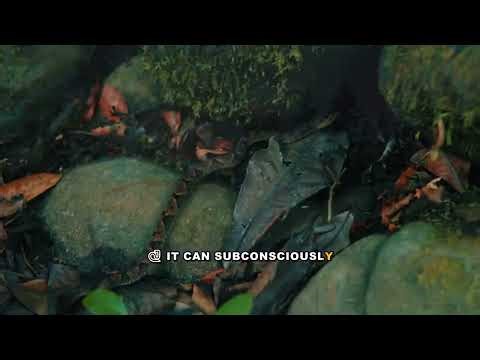 Do Pythons Have Nightmares? Exploring the Fear of Giant Snakes