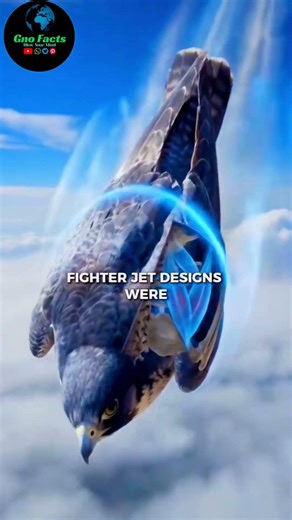 Peregrine Falcon: The Fastest Animal on Earth Explained #facts #falcon #birds