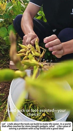 Edamame Express: A DIY Tool for Speedy Shelling 🌱🔧