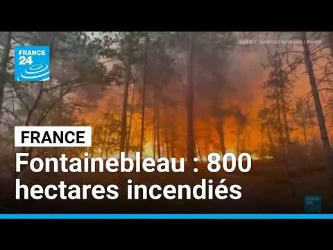 France : huit cent hectares incendiés à Fontainebleau, deux avions bombardiers déployés