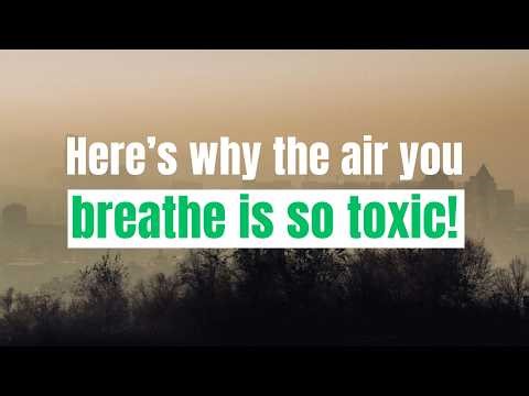 Clean Air Starts With You (Change This Today!)