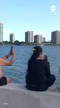 23-story Miami hotel demolished to make way for new development