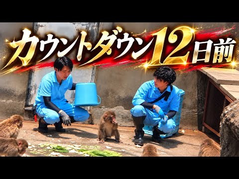 【パンチくん🐵】もうすぐ会えるね〜‼️人間の子供じゃん‥をいちばん感じた名場面フルバージョンで‥待ってるよ〜♡