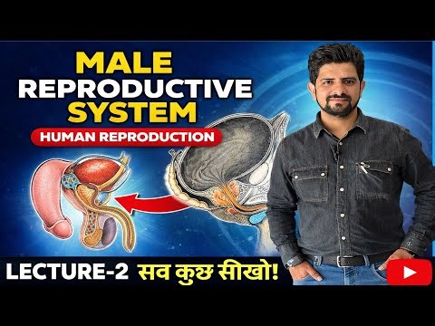 Male Reproductive System Full Lecture | Class 12 Biology | Lecture 2 🔥