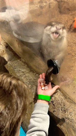 Kids Meet a Capybara for the First Time 🐹✨ | One World Interactive Aquarium