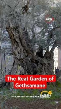 The Real Garden of Gethsamane