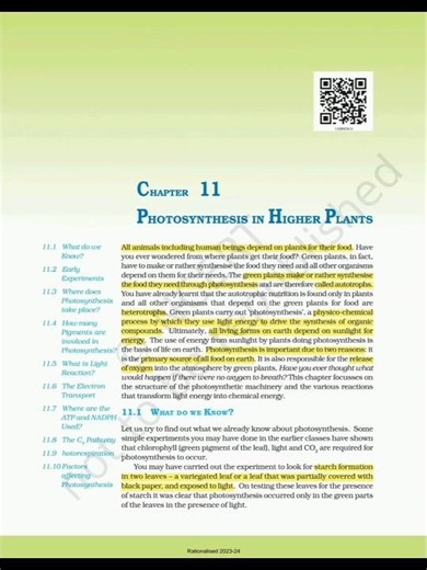 Photosynthesis in Higher Plants 🌿 | Chapter 11 Biology Notes & Explanation