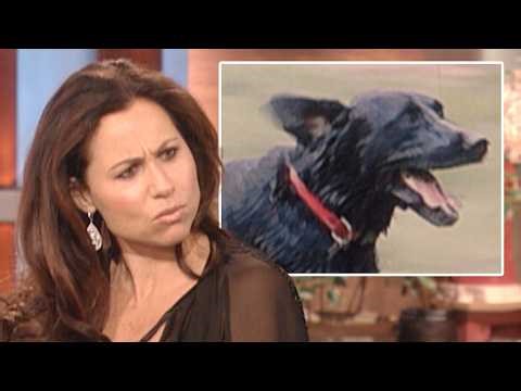 Minnie Driver Took Her Dog to a Pet Psychic… Here’s What Happened