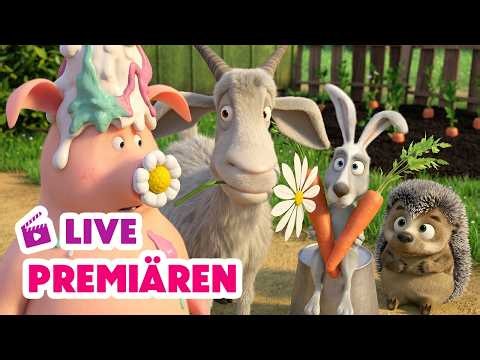 🔴 LIVE! Masha och Björnen 🐻👧 Premiären 🏆 Älskar, älskar inte 🌸❤️🤔 Masha and The Bear