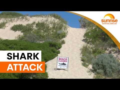 Surfer hospitalised after shark attack near Geraldton | Sunrise