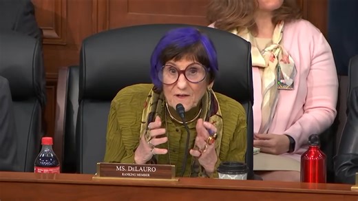 'Did you all do an analysis?': Rep. Rosa DeLauro presses Sec. Pete Hegseth on budget cuts during House hearing