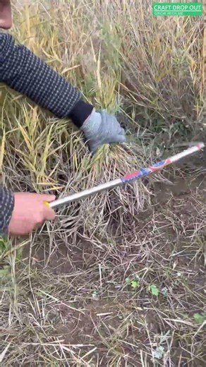 🌿🌾 Clean Grass Cutting with a Long-Handled Cutter
