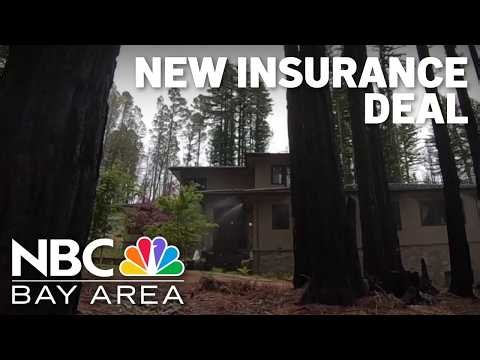 New insurance deal aims to solve ‘crisis,' offer double digit discounts to you