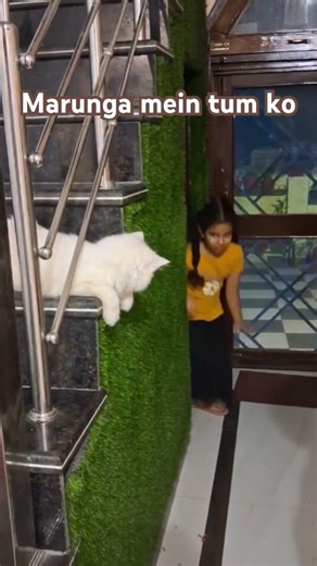 Savage Cat vs Girl 😹🔥 | Play Fight Gone Wrong 😂 #shorts #catlife #savagecat #catattitude #catlife